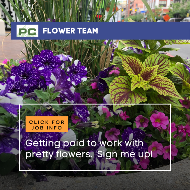 Groundskeeping & Flower Team