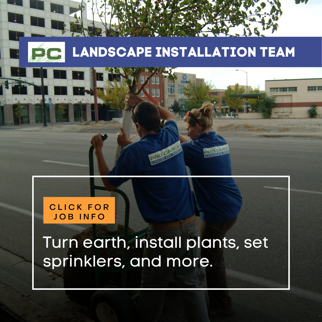 Landscape Installation Team