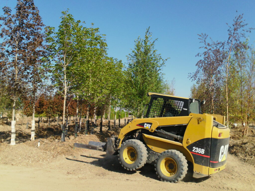 Why Fall is the Best Time to Transform Your Landscape